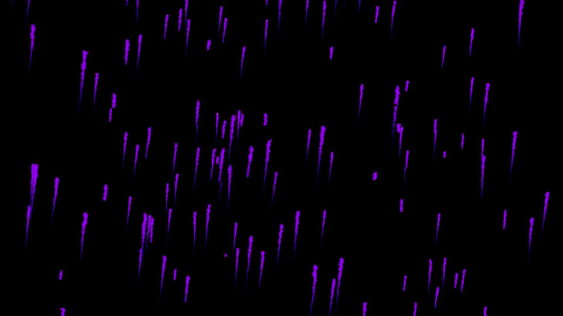 冉冉升起的紫雨
